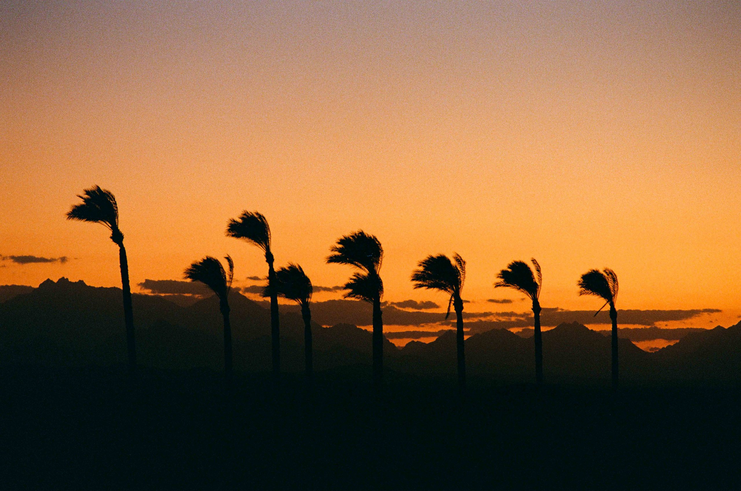 202602_Ägypten_Minolta_10