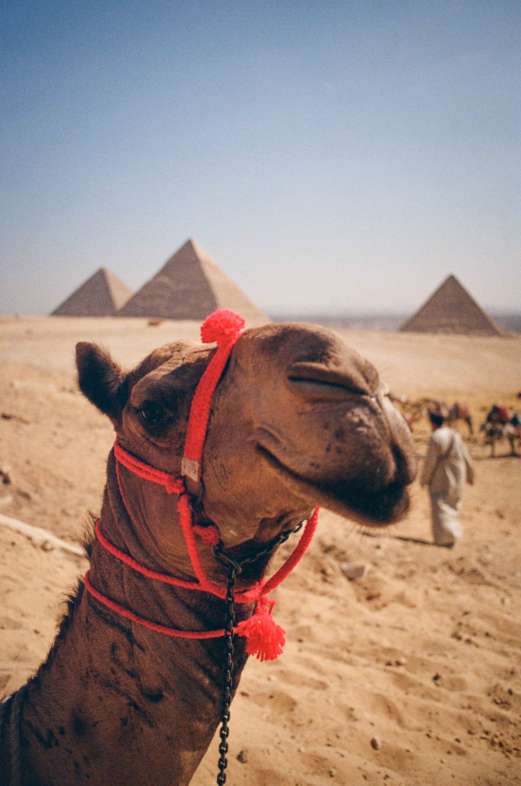 202602_Ägypten_Minolta_13